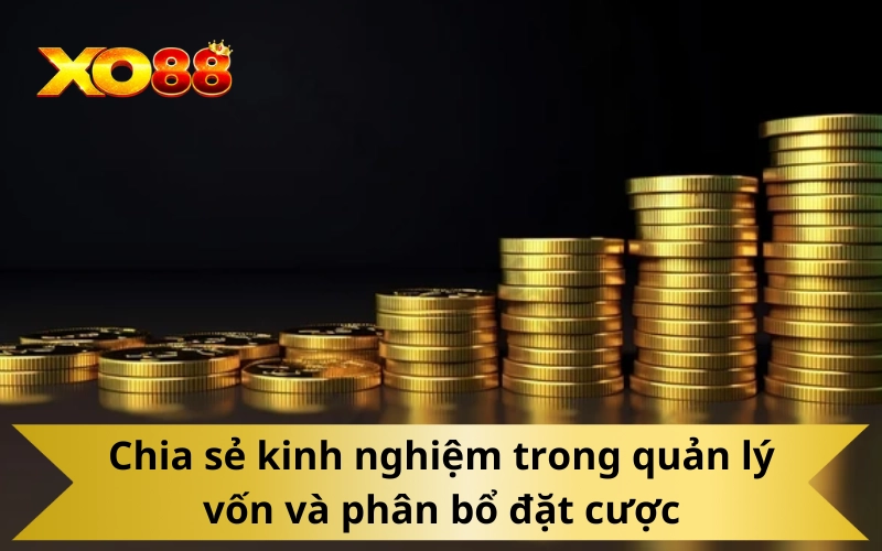 Chia sẻ kinh nghiệm trong quản lý vốn và phân bổ đặt cược