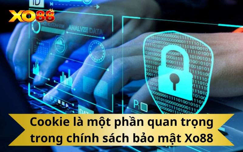 Nội dung chi tiết của chính sách bảo mật Xo88
