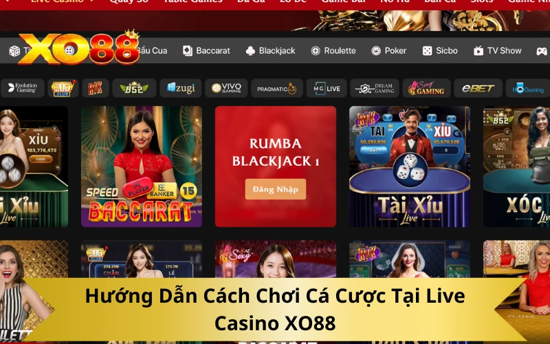 Hướng Dẫn Cách Chơi Cá Cược Tại Live Casino XO88