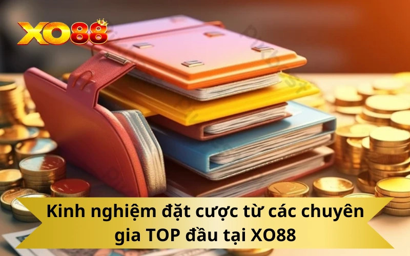 Kinh nghiệm đặt cược từ các chuyên gia TOP đầu tại XO88