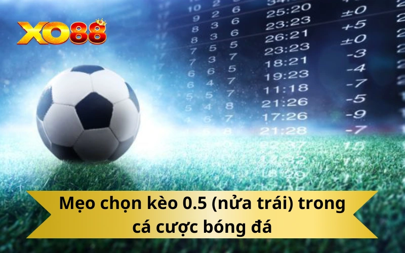 Mẹo chọn kèo 0.5 (nửa trái) trong cá cược bóng đá