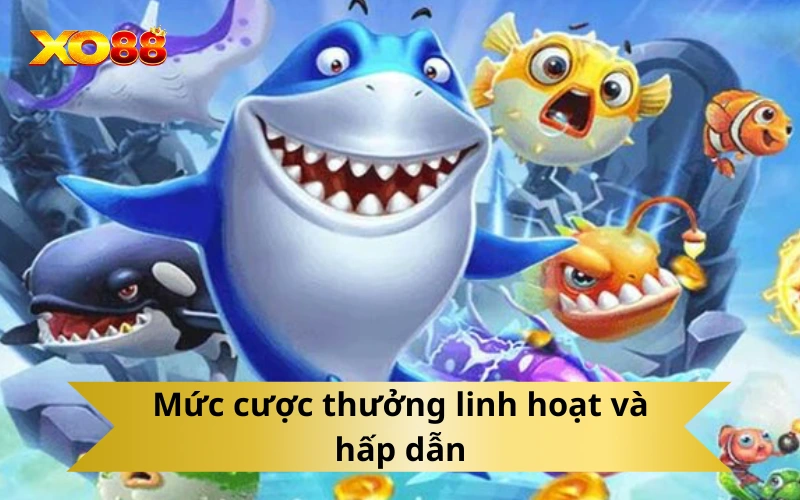 Mức cược thưởng linh hoạt và hấp dẫn
