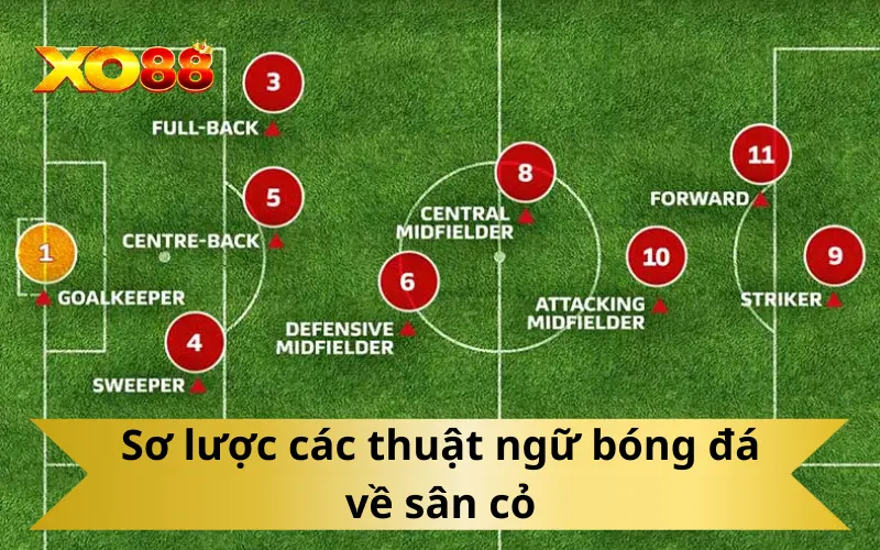 Sơ lược các thuật ngữ bóng đá về sân cỏ