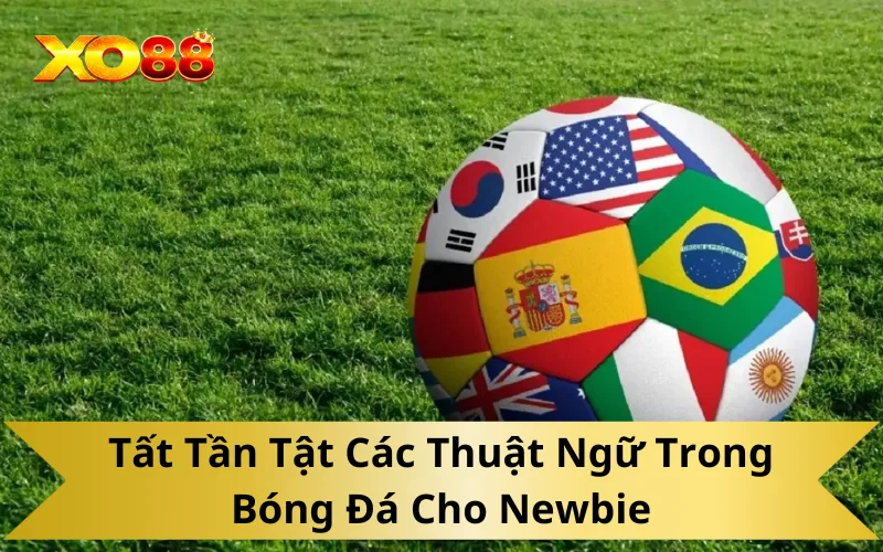 Tất Tần Tật Các Thuật Ngữ Trong Bóng Đá Cho Newbie