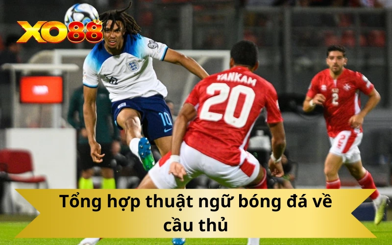 Tổng hợp thuật ngữ bóng đá về cầu thủ