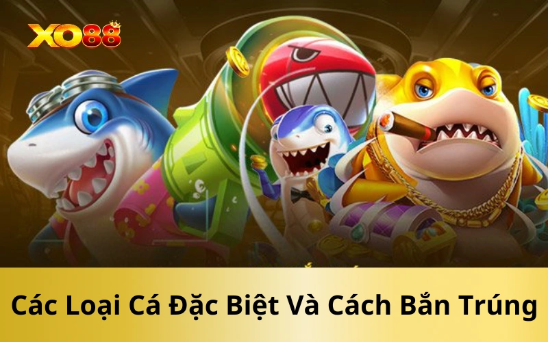 Các Loại Cá Đặc Biệt Và Cách Bắn Trúng