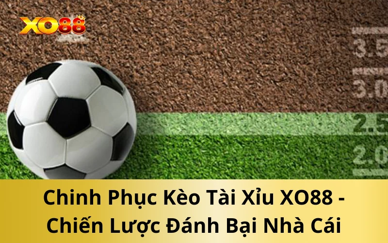 Chinh Phục Kèo Tài Xỉu XO88 - Chiến Lược Đánh Bại Nhà Cái
