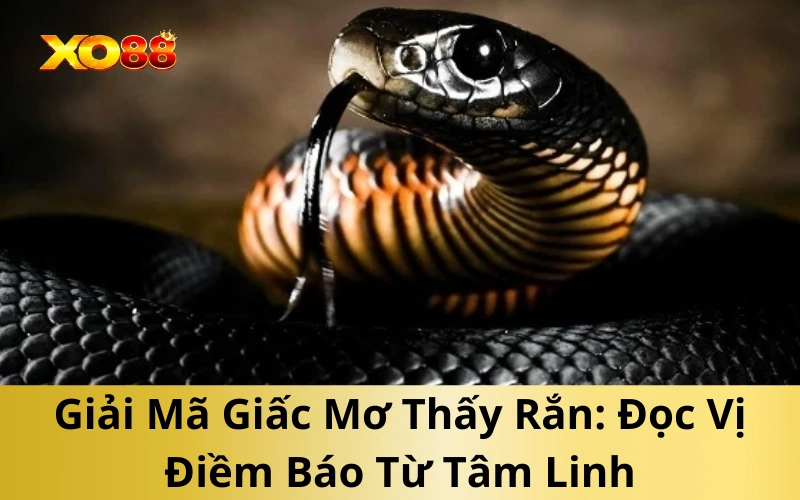 Giải Mã Giấc Mơ Thấy Rắn: Đọc Vị Điềm Báo Từ Tâm Linh
