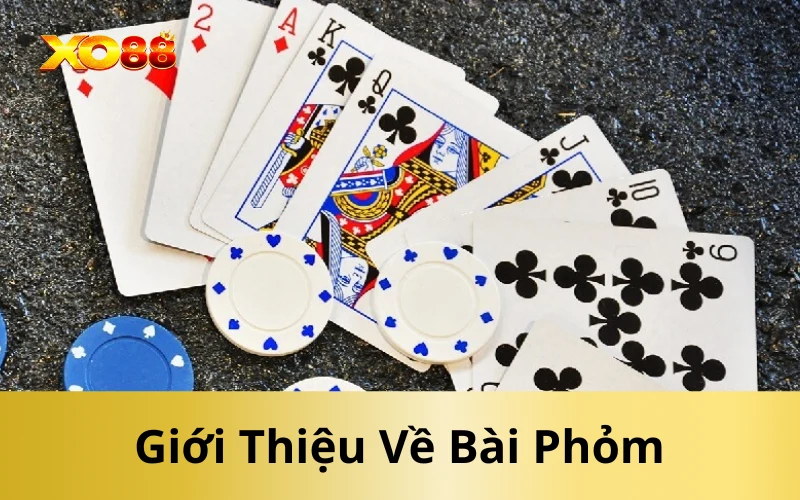 Giới Thiệu Về Bài Phỏm