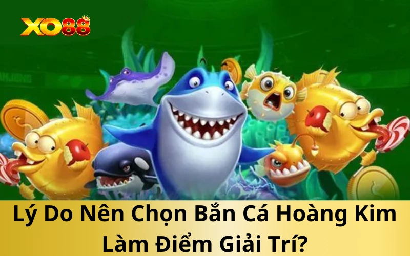 Lý Do Nên Chọn Bắn Cá Hoàng Kim Làm Điểm Giải Trí?