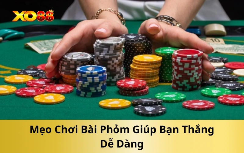 Mẹo Chơi Bài Phỏm Giúp Bạn Thắng Dễ Dàng