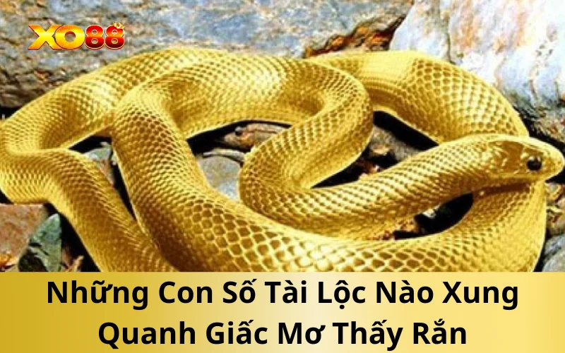 Những Con Số Tài Lộc Nào Xung Quanh Giấc Mơ Thấy Rắn
