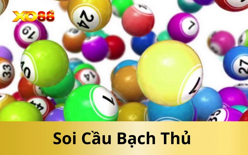 Soi Cầu Bạch Thủ 