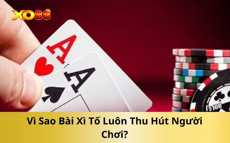 Vì Sao Bài Xì Tố Luôn Thu Hút Người Chơi?