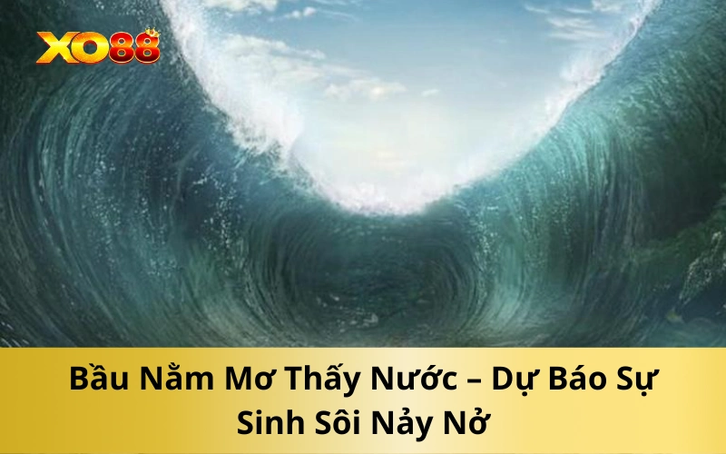 Bầu Nằm Mơ Thấy Nước – Dự Báo Sự Sinh Sôi Nảy Nở