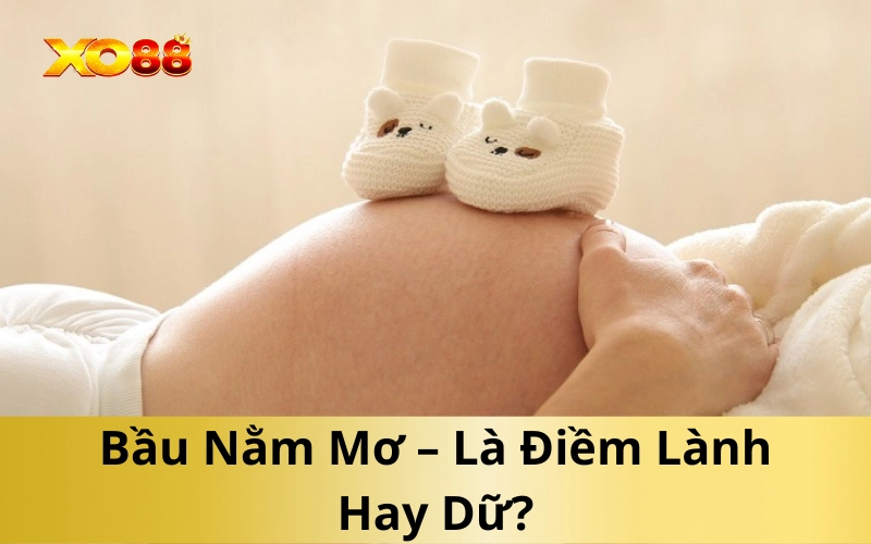 Bầu Nằm Mơ – Là Điềm Lành Hay Dữ?