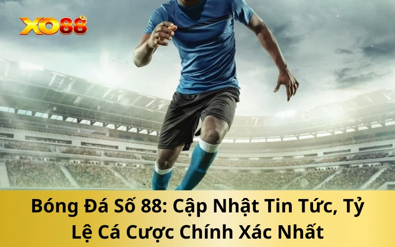 Bóng Đá Số 88: Cập Nhật Tin Tức, Tỷ Lệ Cá Cược Chính Xác Nhất