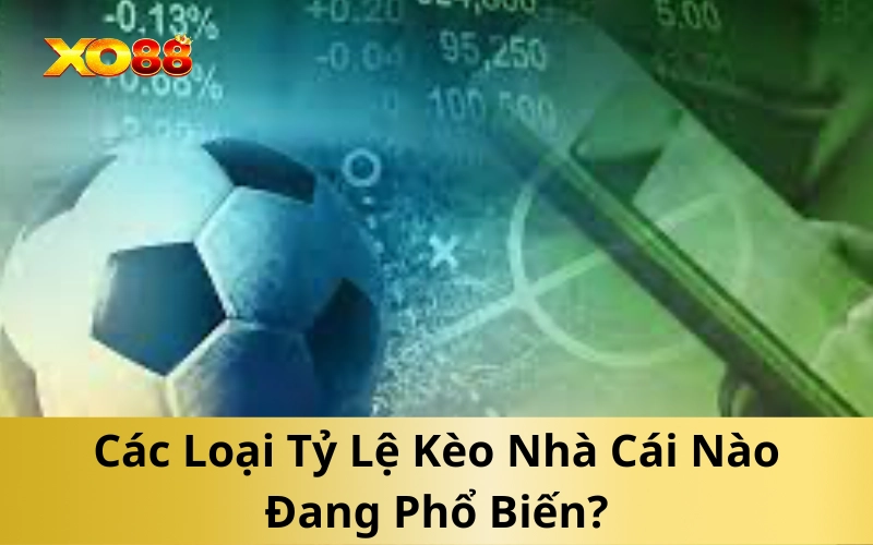 Các Loại Tỷ Lệ Kèo Nhà Cái Nào Đang Phổ Biến?