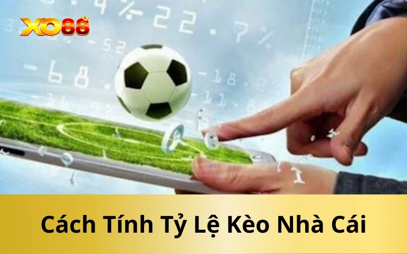 Cách Tính Tỷ Lệ Kèo Nhà Cái