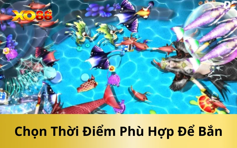 Chọn Thời Điểm Phù Hợp Để Bắn