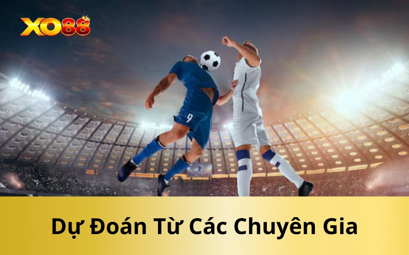 Dự Đoán Từ Các Chuyên Gia