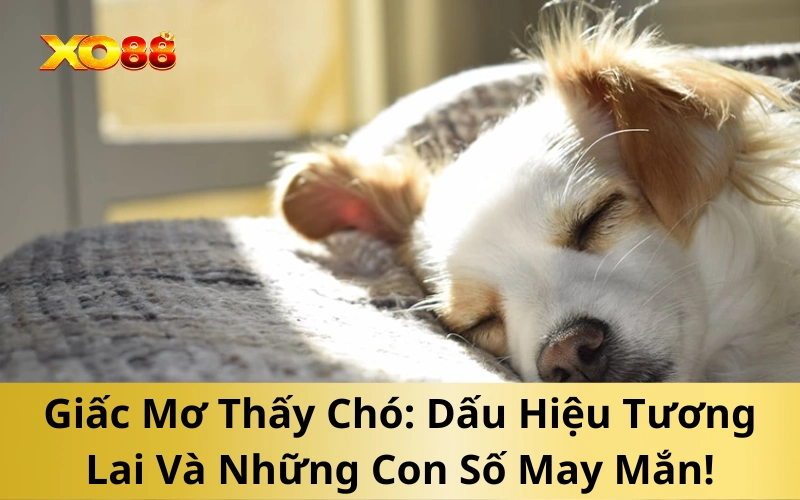 Giấc Mơ Thấy Chó: Dấu Hiệu Tương Lai Và Những Con Số May Mắn!