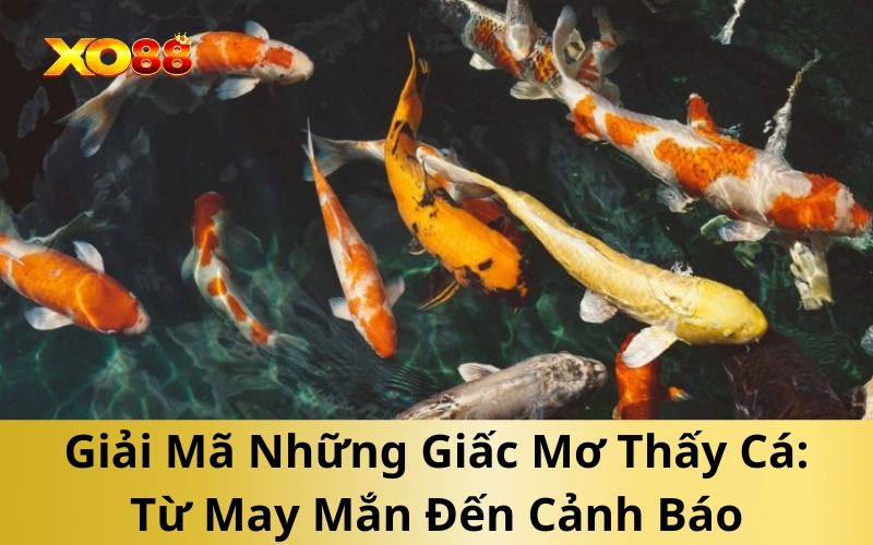 Giải Mã Những Giấc Mơ Thấy Cá: Từ May Mắn Đến Cảnh Báo