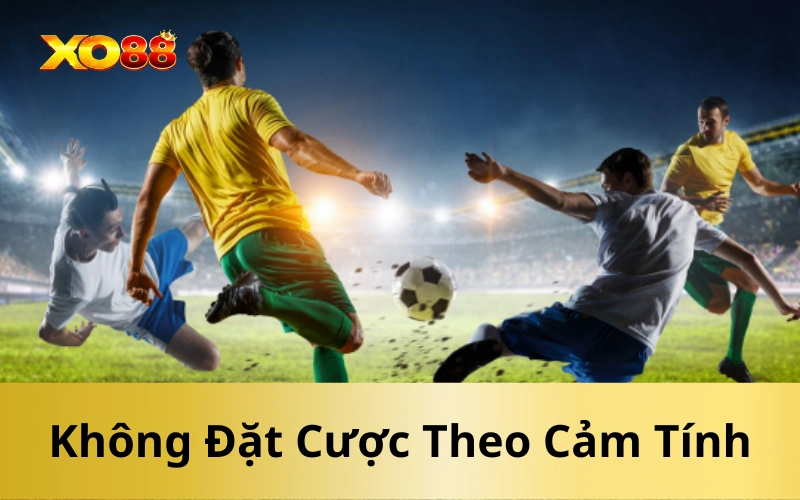 Không Đặt Cược Theo Cảm Tính