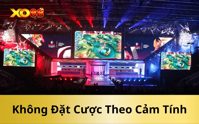 Không Đặt Cược Theo Cảm Tính