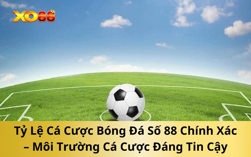 Tỷ Lệ Cá Cược Bóng Đá Số 88 Chính Xác – Môi Trường Cá Cược Đáng Tin Cậy