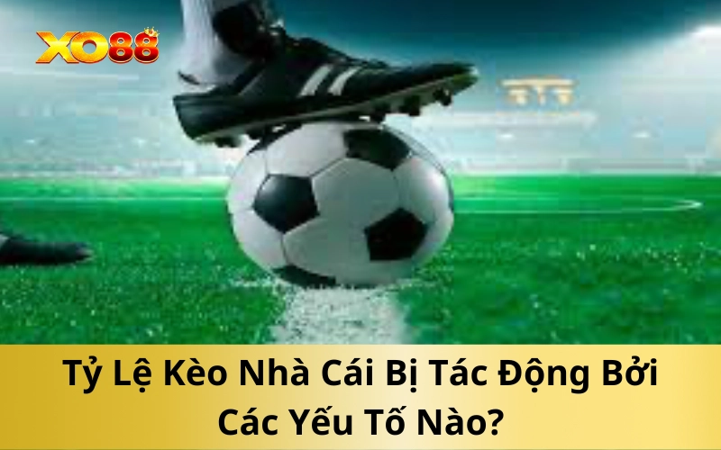 Tỷ Lệ Kèo Nhà Cái Bị Tác Động Bởi Các Yếu Tố Nào?